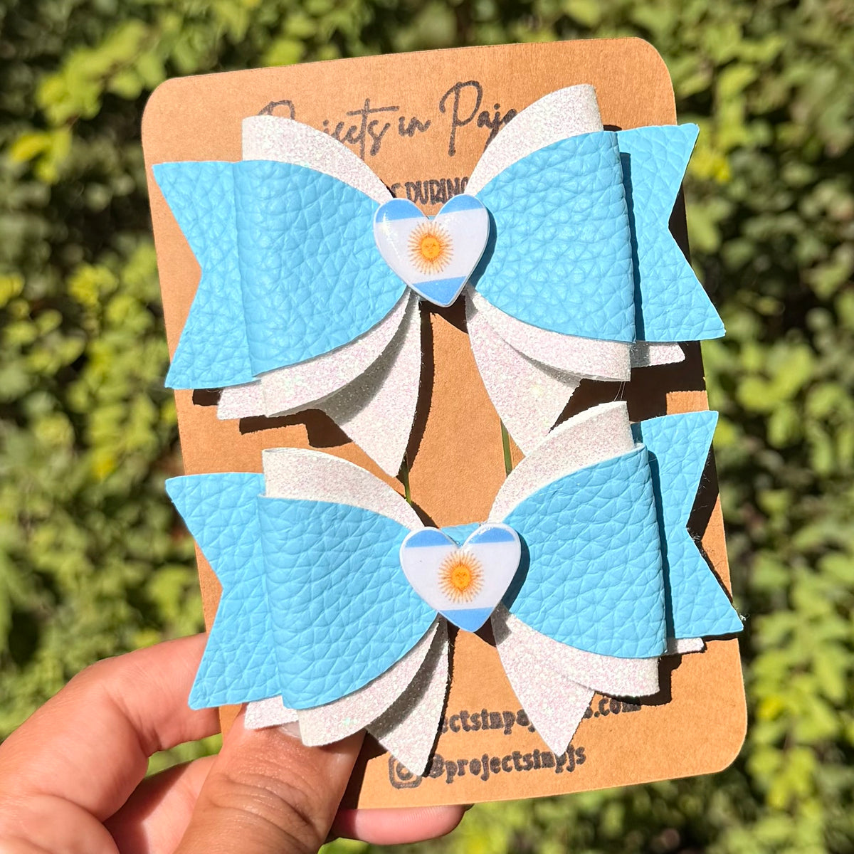 Argentinian Pride Hair Bow | Flag Charm Pigtails